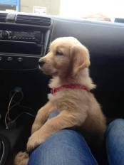 366f9ef94f8facc84fc92a9bedb5f58e_174x232_fill