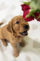 3681721148b311428b0df90221423936_130x195_fill