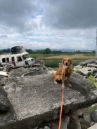 36a221ec7078ae2d68be70b334494e8e_138x184_fill