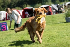 36b404e33c0c40f437d8c20ebe33a352_245