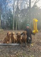 36da1b513b2191cf98d0970df0610440_136x186