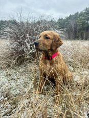 373a26567d6ce14659db15d3c17fcec2_174x232_fill