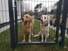 377430fb6f4997b21dec6c78285832cd_232x174_fill