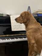 378202e75c50da6ec086364720a6ec4a_138x184_fill