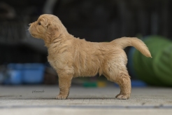 37c1ac202562317600950bf8f9dc40b7_246