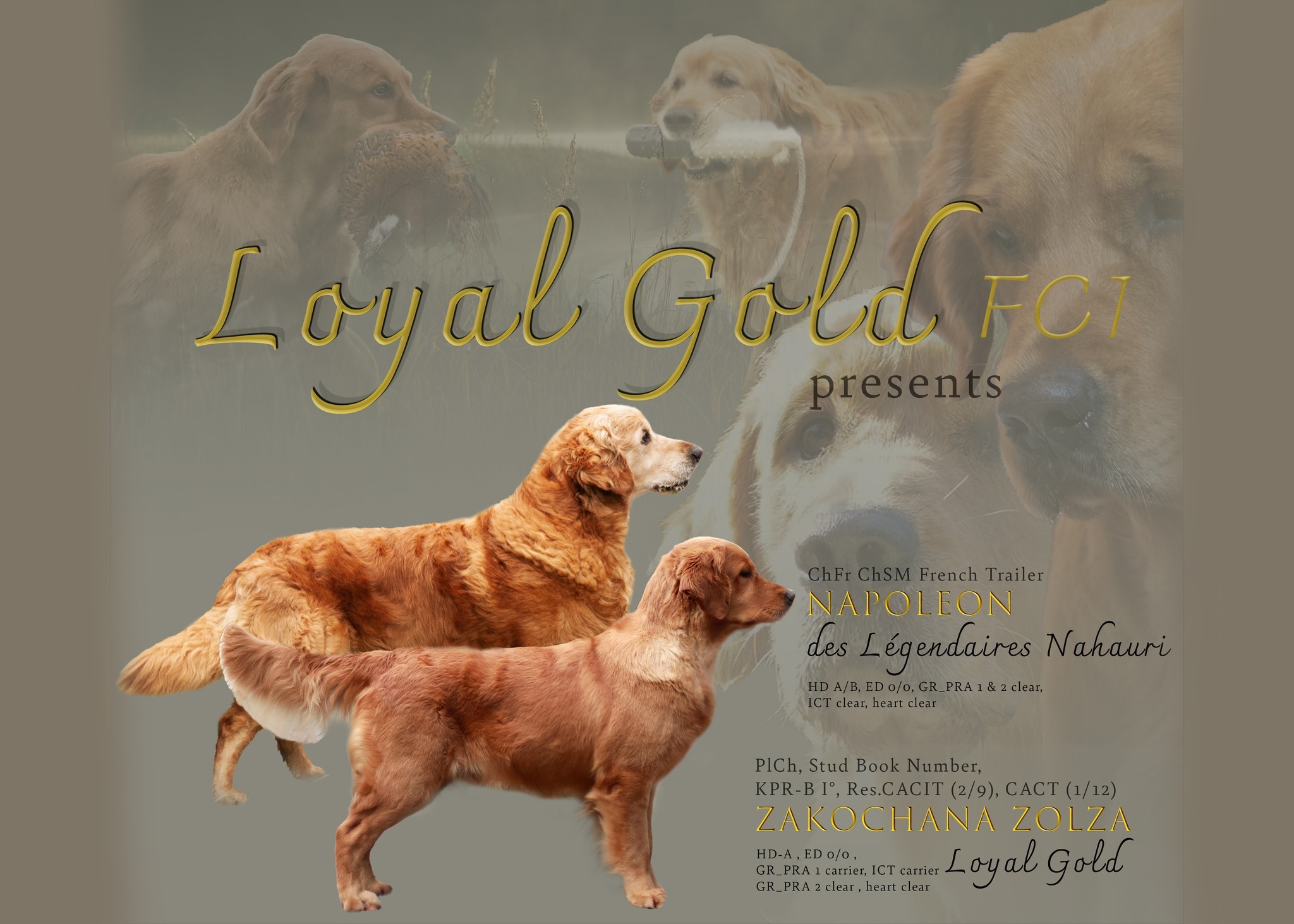 38062e4caab651d351dbde2a160105f4_fit