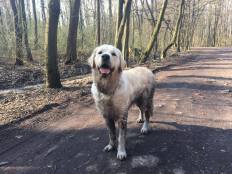 38589e5a71ca9f93c99fb1d6f67c543c_232x174_fill