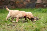 3890e33a00e43327e2fd9912d1467806_195