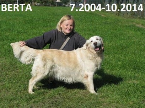 38a9bdd891a2c16dac8a2caf8b681e34_462