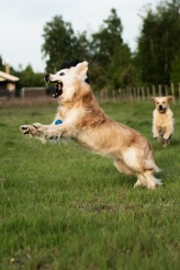 38aae5d8a7ba2e7bfe45c0b423eeab7d_164x246