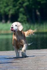 38d707576c3ed129f9ed98c2e3e4b9ad_164x245