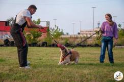 38f6dd83b87b56709c472656386659e9_243