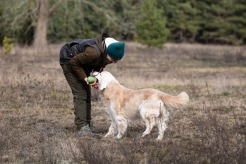 38fa68ebc17dbc42dbb7ccacd4e52afb_246