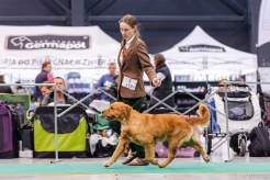 390994c656a60797347811218043c2fe_246