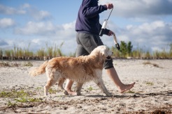 397b8472596413b4699a2c67738933e3_246