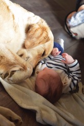 3993fe21e5db1bec9d0613e1c6fe122d_164x246