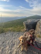 39df76b99860acd46c7377ec2d039127_138x184_fill