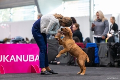 3a1062e8466abd5e87fe5b2a43f6ec27_246