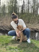 3a209e02b5fc9d9b4a49f52cf154c1bf_138x184_fill