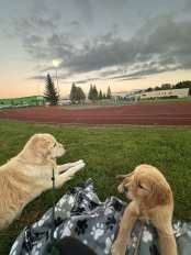 3ac8000d1bfa4bacfce13aad6f783f57_174x232_fill