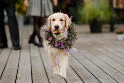 3acff130267fa2075ee4eeaa1f292b0b_245