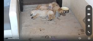 3b3a7606a0f288272f1169b2230826bb_297