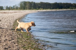 3b5328a94891b891df86ef21285ed518_246