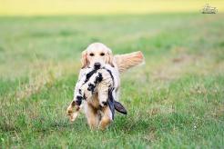 3b63bc4c929797ad4692da08a01be0a4_246