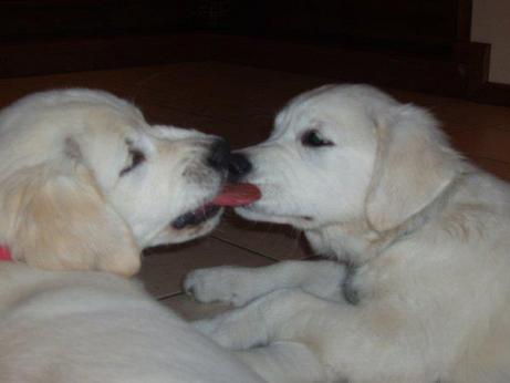 3b7868e54afc3bd8afa88103c6297884_461