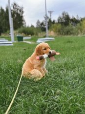 3c0893fd1fa7d3e22410d3759fcd0e9b_174x232_fill