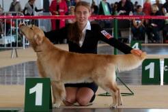 3c344da59009a3020e1ae2b6f2e91942_246x164_fill