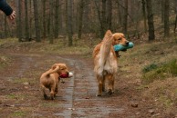 3c34ad981329e2b7d81c91bce6ff9152_194