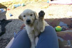 3c80bbd91a33a215e1d21e589d671c25_245