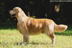 3cb16806b1481f4676347b917cd47666_246