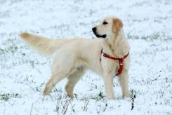 3cb42302c491789dbe0175719f0cd7da_245