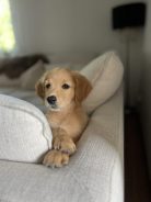 3cbaa63869c5adbd1324b37f968fffc8_138x184_fill