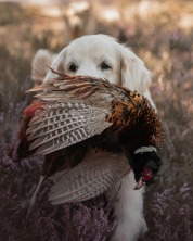 3cbd51a9c9e2709ce9c91db0c146cfaa_178x222