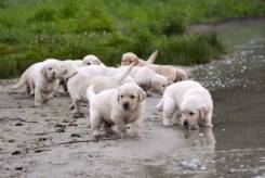 3d15e426d1facd3c6cf66926ae788c12_245