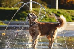 3d233457cd2cce44ad8f28f83337a64b_246