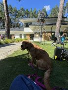 3d2ee0f713918ddae5ac4055cb15b415_138x184_fill