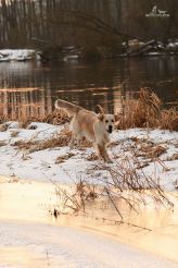 3d302dd9a33f1f9a6b47059decb0018f_164x246