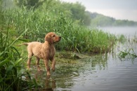 3d382f39f08637a721bed2643c622bab_195