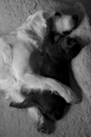 3d64e654353df69a9c6d55969a6ae324_130x195_fill