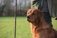 3d7d74fb59cfa5b4f8a47dea6a67e23f_194