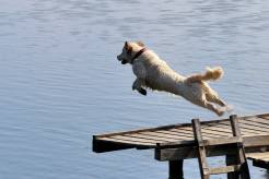 3dd623085e029e44ba2abea12b29e4c9_246