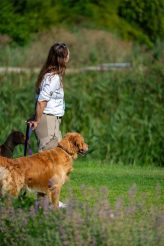 3e0f81bfebfd721958beab8651a119f0_164x246_fill