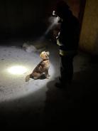 3e4f16ce3e0007124835f04ddea83223_138x184_fill