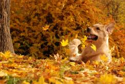 3e5c6e1209003951d4af62b078c50f05_244