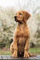 3e76564cd3b0eea2b9845d7d5b929792_130x195_fill