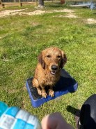 3e8d063a18380883d0cd16ff1b189488_138x184_fill